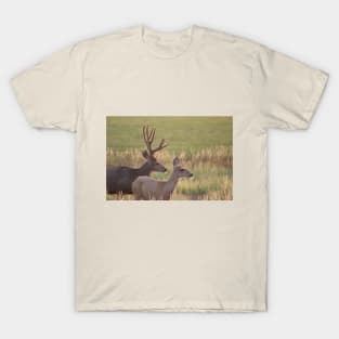 The Majestic Couple T-Shirt